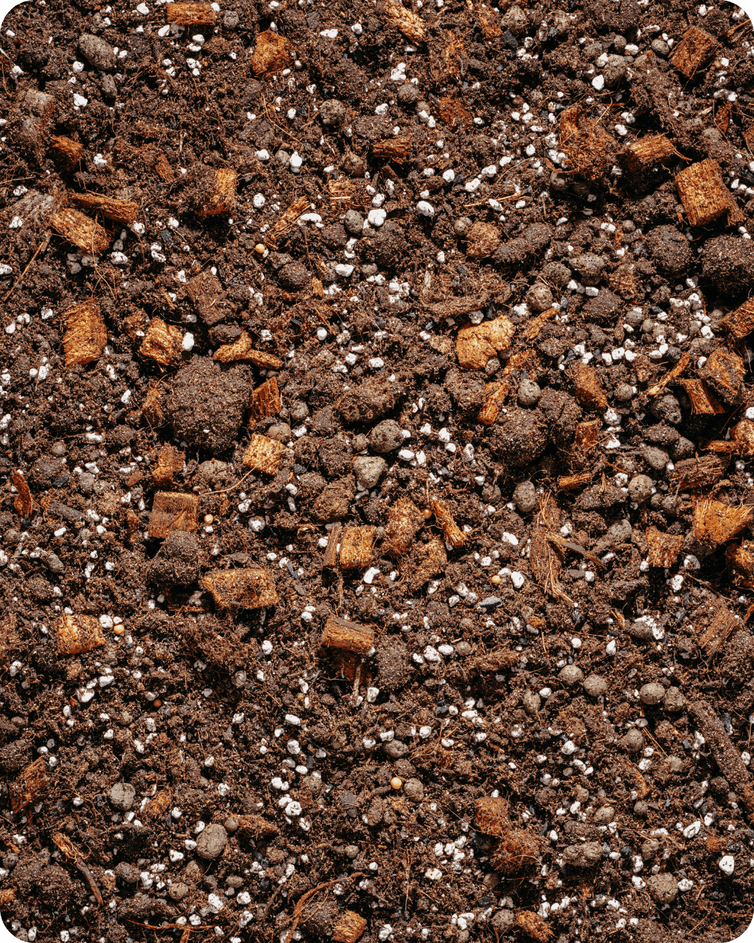 Podłoże Do Hoya, Peperomia, Zamioculcas, Bigos, Ziemia Urban Jungle