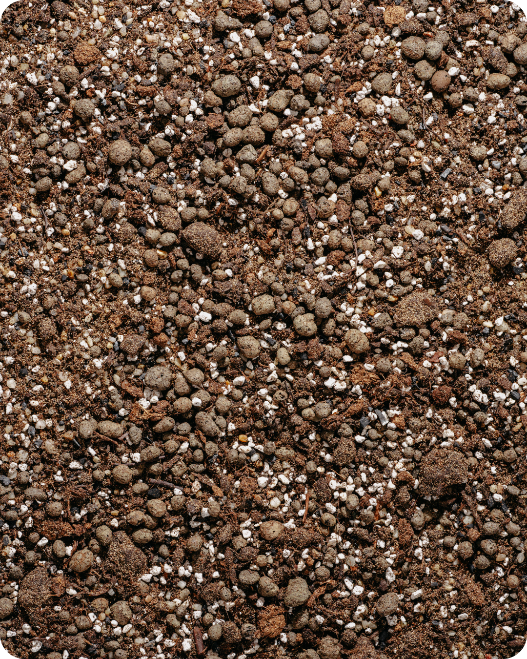 Podłoże Do Sukulentów i Kaktusów, Bigos, Ziemia Urban Jungle