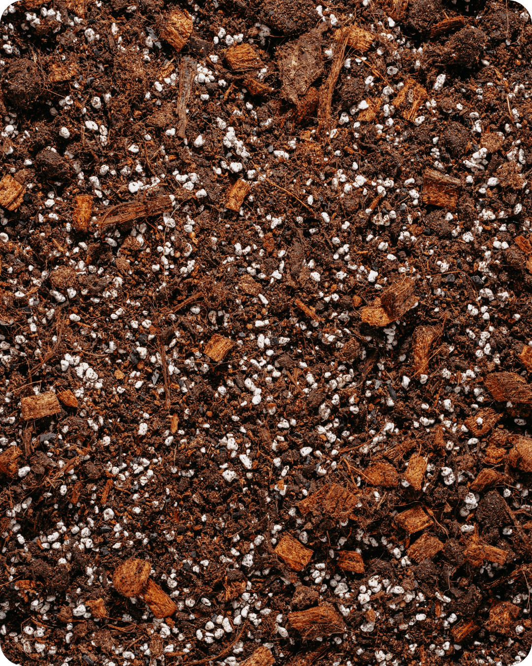 Podłoże Do Begonii, Syngonium, Fiołka, Bigos, Ziemia Urban Jungle