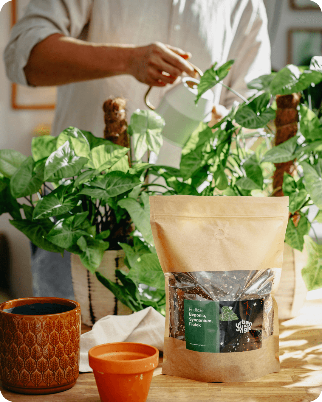 Podłoże Do Begonii, Syngonium, Fiołka, Bigos, Ziemia Urban Jungle