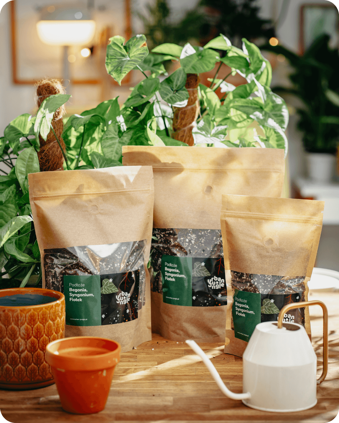 Podłoże Do Begonii, Syngonium, Fiołka, Bigos, Ziemia Urban Jungle