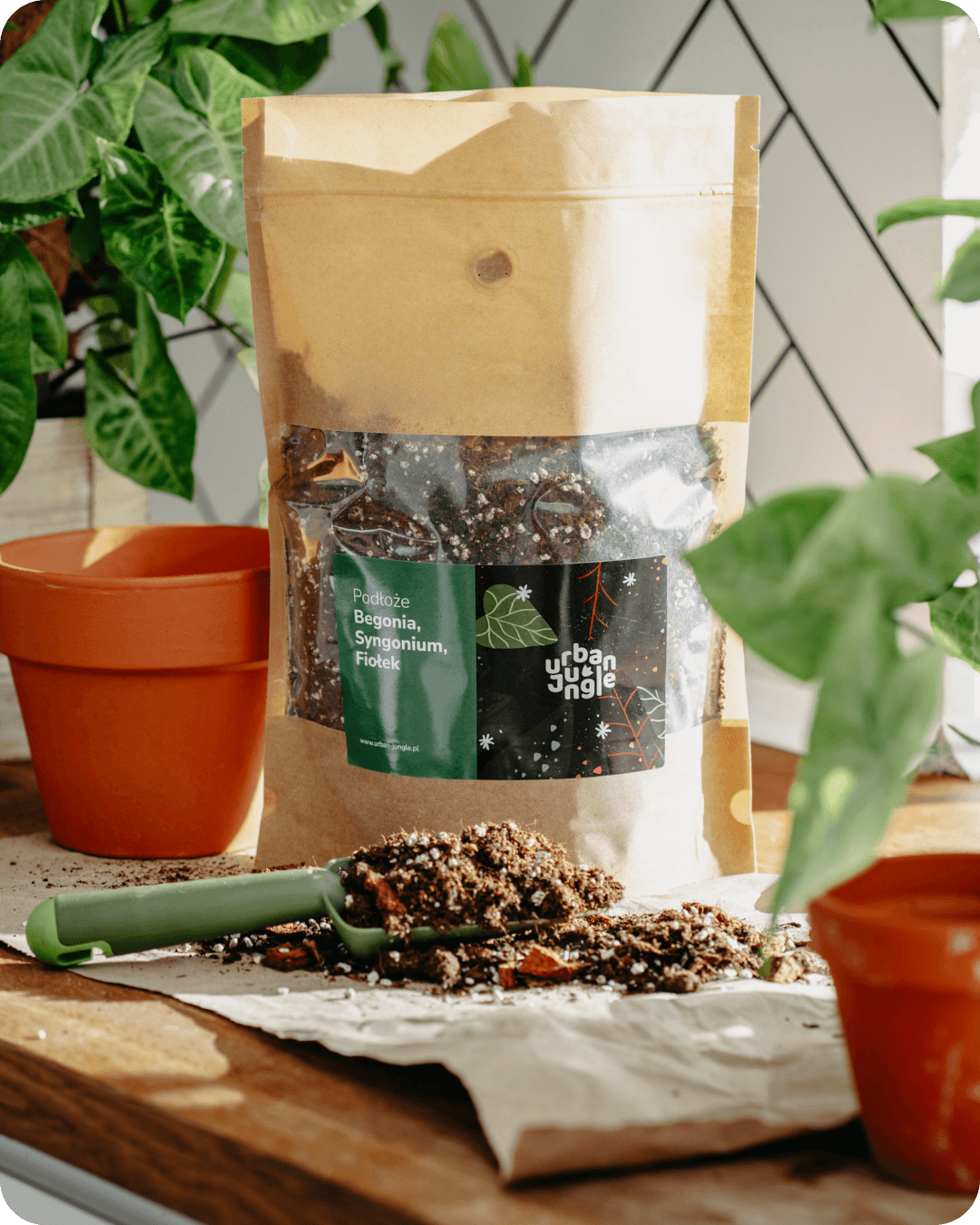 Podłoże Do Begonii, Syngonium, Fiołka, Bigos, Ziemia Urban Jungle
