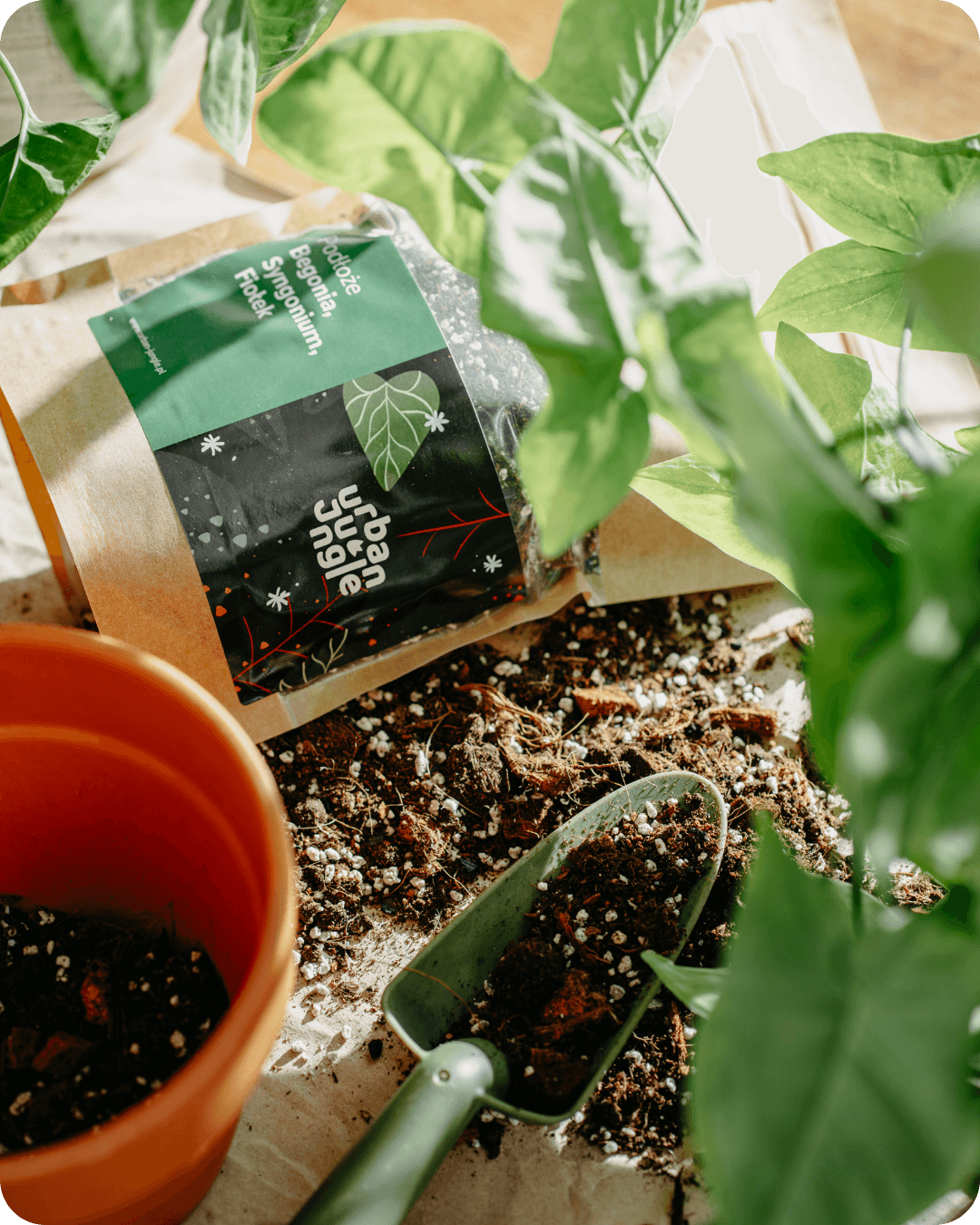 Podłoże Do Begonii, Syngonium, Fiołka, Bigos, Ziemia Urban Jungle