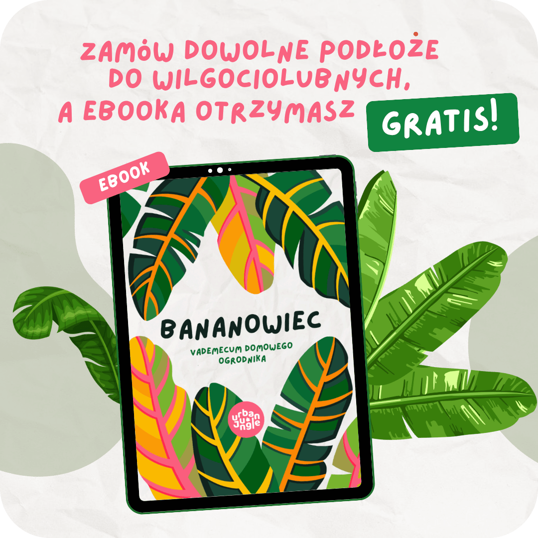 Ebook Bananowiec UJ (1)