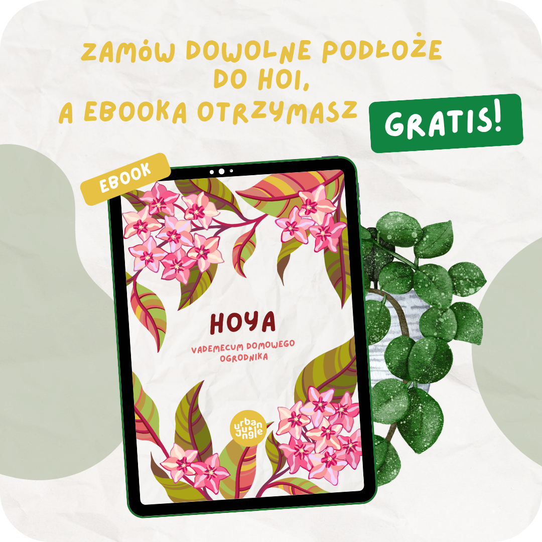Hoja ebook o uprawie gratis