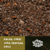 Podłoże Do Palmy, Cykasa, Juki, Draceny, Fikusa, Bigos, Ziemia Urban Jungle