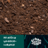 Podłoże Do Bananowca, Skrzydłokwiatu, Pachiry, Bigos, Ziemia Urban Jungle