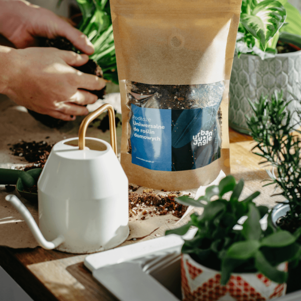 Podłoże Uniwersalne Do Roślin Domowych, Bigos, Ziemia Urban Jungle