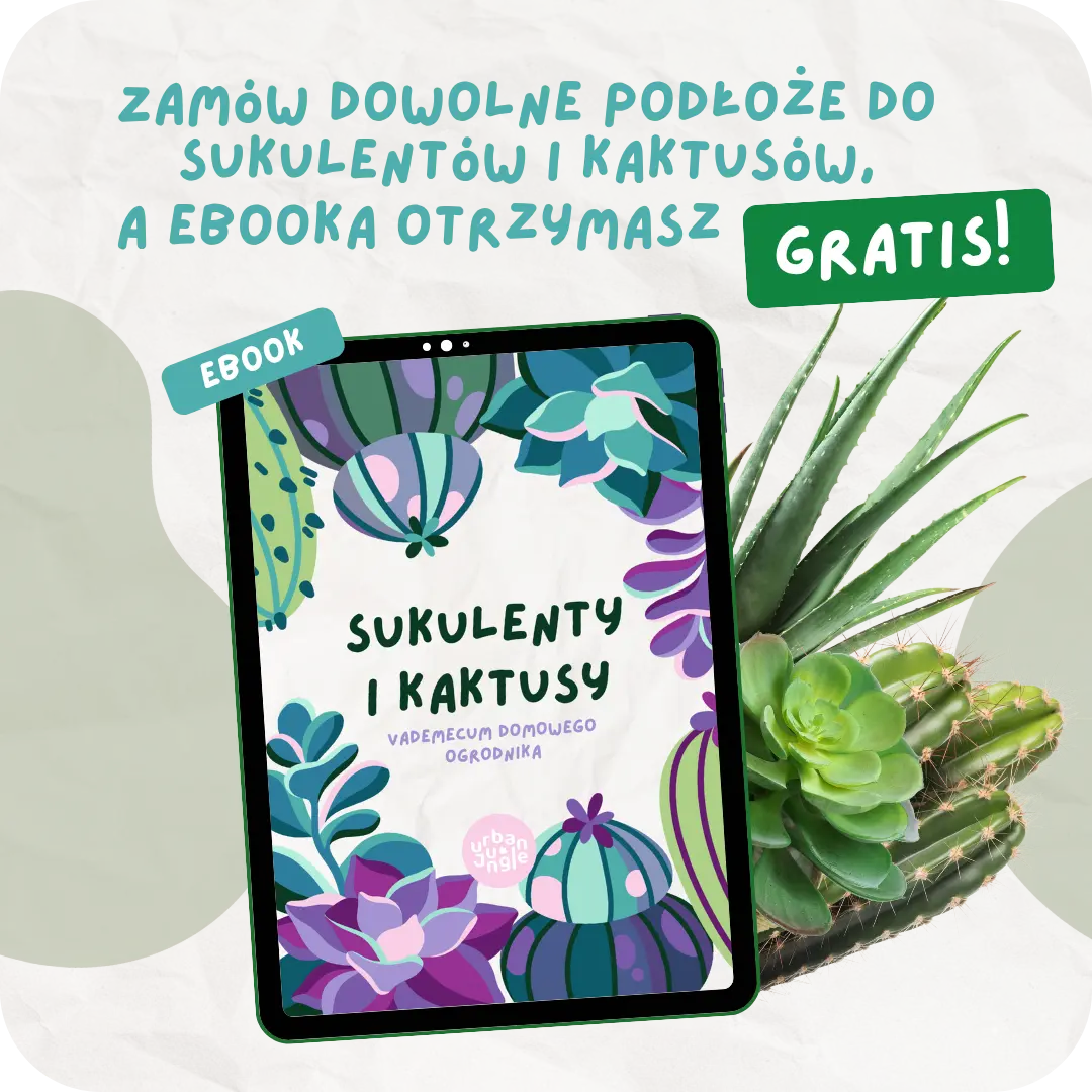 Sukulenty - vademecum domowego ogrodnika e-book zawartość 3 Sukulenty - vademecum domowego ogrodnika e-book zawartość 3