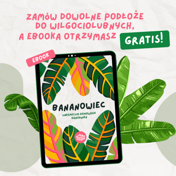 Podłoże Do Bananowca, Skrzydłokwiatu, Pachiry, Bigos, Ziemia Urban Jungle