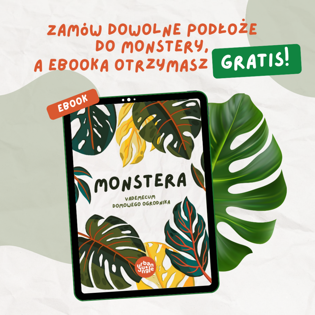 ebook monstera vademecum domowego ogrodnika gratis podłoże bigos