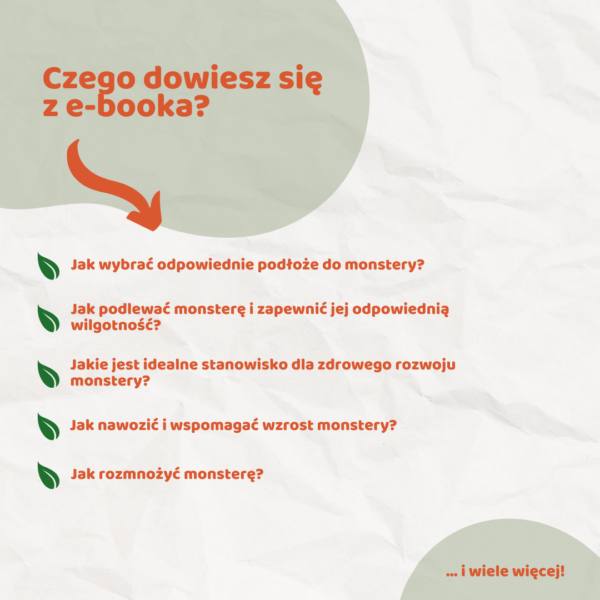 Monstera – vademecum domowego ogrodnika e-book