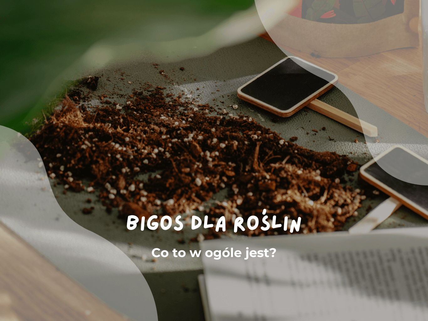 Bigos dla roślin podłoże