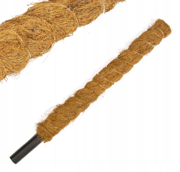 Palik Kokosowy Podpora Tyczka Dla Roślin Kwiatów – 50 cm