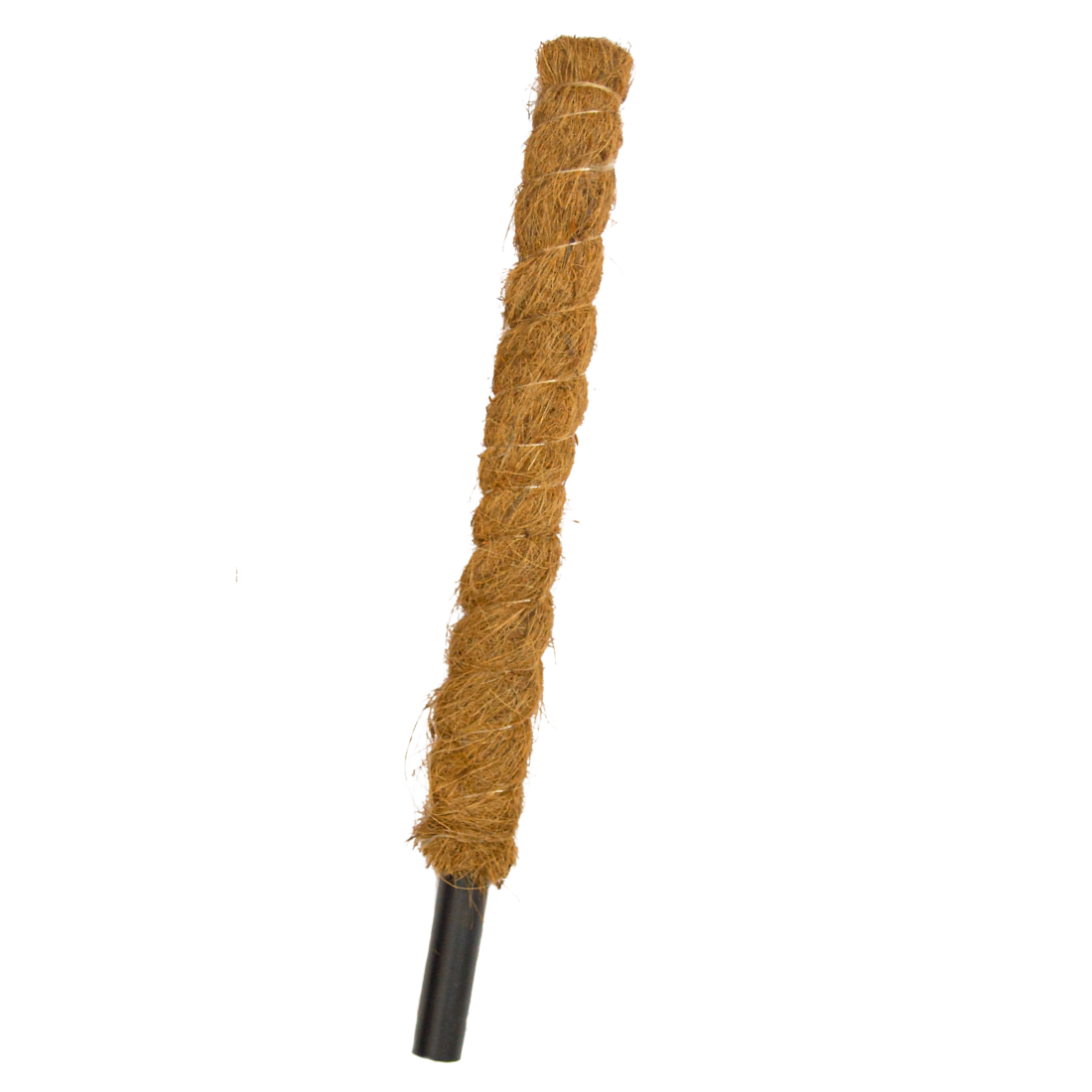 Palik Kokosowy Podpora Tyczka Dla Roślin Kwiatów – 50 cm