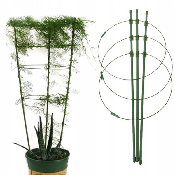 Podpórka Podpora z Obręczami Do Roślin i Kwiatów 45 cm