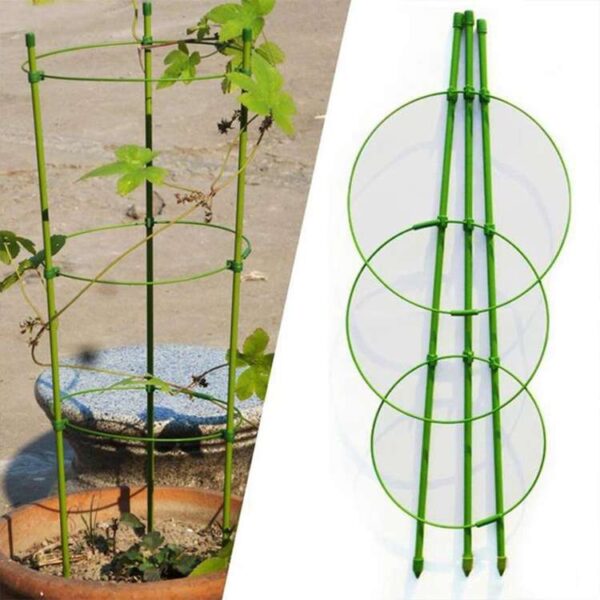 Podpórka Podpora z Obręczami Do Roślin i Kwiatów 45 cm