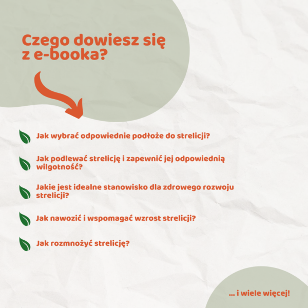 Strelicja – vademecum domowego ogrodnika e-book