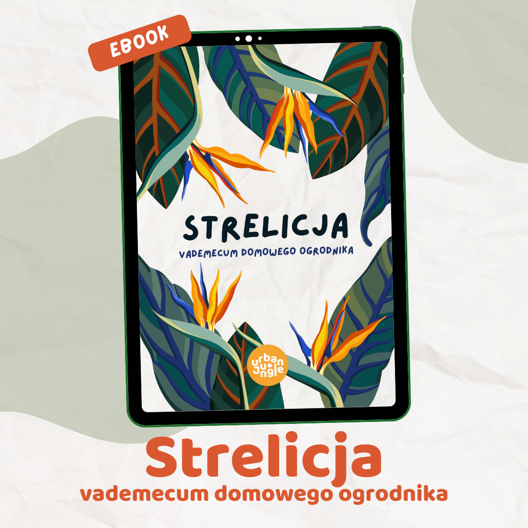 Strelicja – vademecum domowego ogrodnika e-book