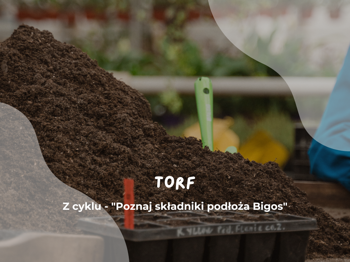 Torf Z cyklu - Poznaj składniki podłoża Bigos