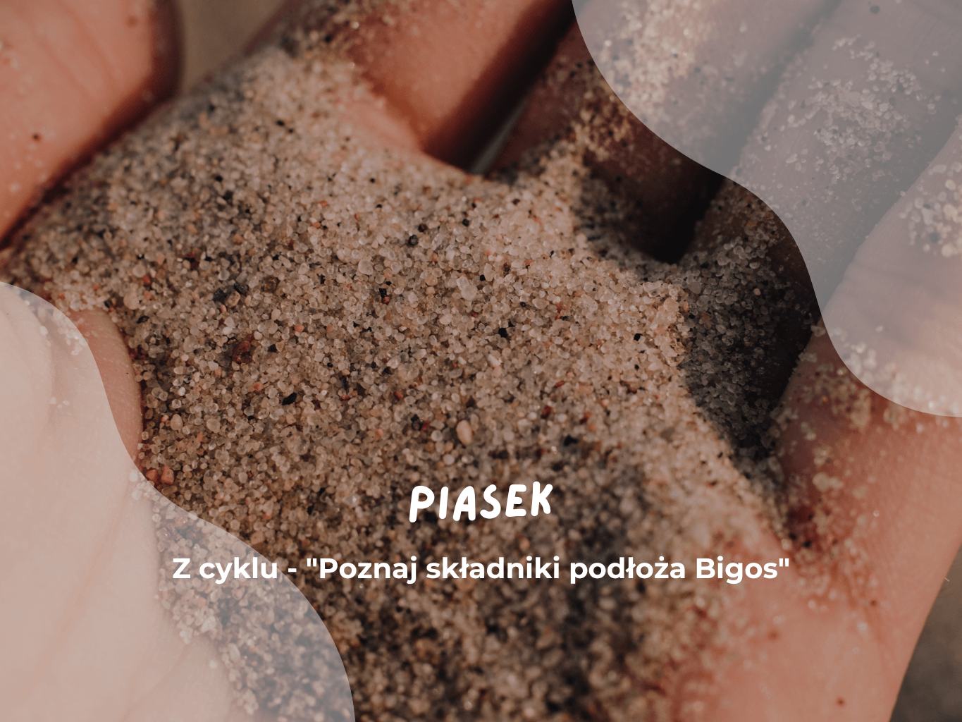 Piasek. Z cyklu – „Poznaj składniki podłoża Bigos” (1)