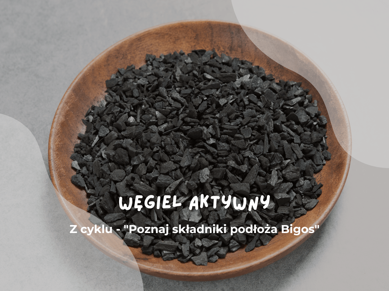 Węgiel aktywny. Z cyklu – „Poznaj składniki podłoża Bigos”