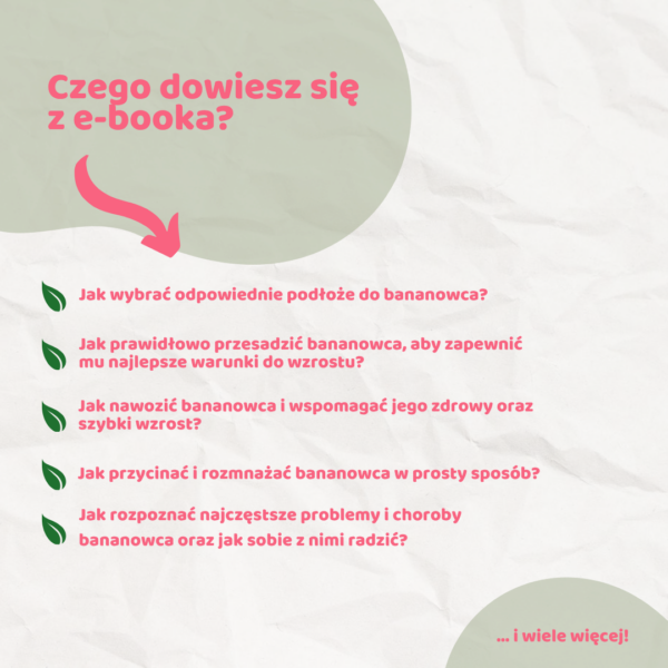 Bananowiec – vademecum domowego ogrodnika e-book
