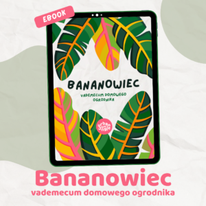 Bananowiec – vademecum domowego ogrodnika e-book