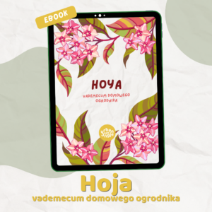 Hoya – vademecum domowego ogrodnika e-book