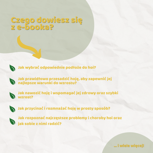 Hoya – vademecum domowego ogrodnika e-book