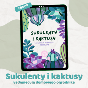 Sukulenty – vademecum domowego ogrodnika e-book