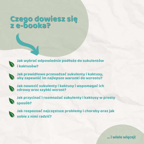 Sukulenty – vademecum domowego ogrodnika e-book