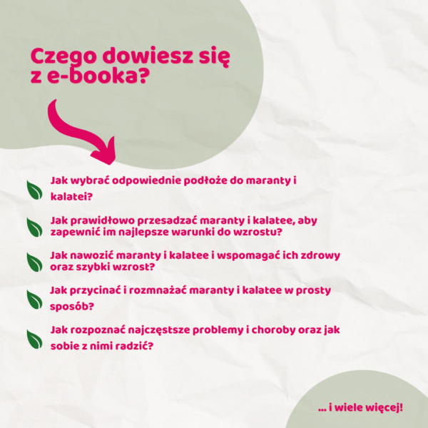 Maranta i Calathea – vademecum domowego ogrodnika e-book